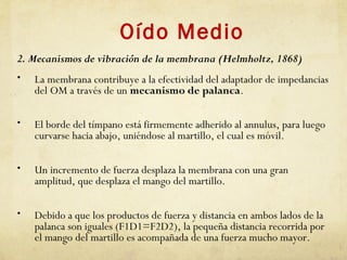 Oído Medio
2. Mecanismos de vibración de la membrana (Helmholtz, 1868)
• La membrana contribuye a la efectividad del adaptador de impedancias
del OM a través de un mecanismo de palanca.
• El borde del tímpano está firmemente adherido al annulus, para luego
curvarse hacia abajo, uniéndose al martillo, el cual es móvil.
• Un incremento de fuerza desplaza la membrana con una gran
amplitud, que desplaza el mango del martillo.
• Debido a que los productos de fuerza y distancia en ambos lados de la
palanca son iguales (F1D1=F2D2), la pequeña distancia recorrida por
el mango del martillo es acompañada de una fuerza mucho mayor.
 