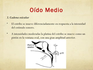 Oído Medio
3. Cadena osicular
• El estribo se mueve diferenciadamente en respuesta a la intensidad
del estímulo sonoro.
• A intensidades moderadas la platina del estribo se mueve como un
pistón en la ventana oval, con una gran amplitud anterior.
 