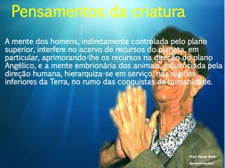 Prof. Paulo Ratki
Apresentações
A mente dos homens, indiretamente controlada pelo plano
superior, interfere no acervo de recursos do planeta, em
particular, aprimorando-lhe os recursos na direção do plano
Angélico, e a mente embrionária dos animais, influenciada pela
direção humana, hierarquiza-se em serviço, nas regiões
inferiores da Terra, no rumo das conquistas da humanidade.
Pensamentos da criatura
 
