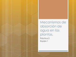 Mecanismos de
absorción de
agua en las
plantas.
Práctica 2
Equipo 1
 