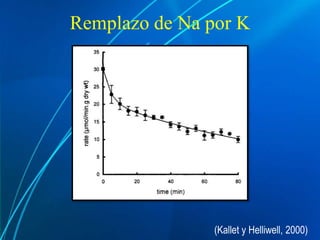 Remplazo de Na por K
(Kallet y Helliwell, 2000)
 