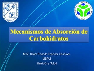 MVZ. Oscar Rolando Espinoza Sandoval.
MSPAS
Nutrición y Salud
 