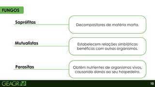 Mutualistas
Parasitas
Estabelecem relações simbióticas
benéficas com outros organismos.
FUNGOS
Decompositores de matéria morta.
Saprófitas
10
Obtêm nutrientes de organismos vivos,
causando danos ao seu hospedeiro.
 