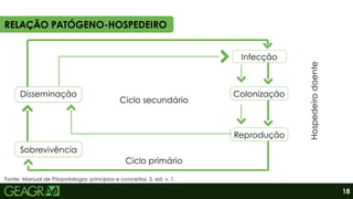 RELAÇÃO PATÓGENO-HOSPEDEIRO
Sobrevivência
Reprodução
Infecção
Disseminação
Ciclo primário
Ciclo secundário
Colonização
Hospedeiro
doente
18
Fonte: Manual de Fitopatologia: princípios e conceitos. 5. ed. v. 1.
 
