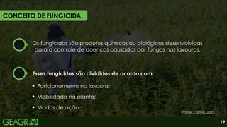 Os fungicidas são produtos químicos ou biológicos desenvolvidas
para o controle de doenças causadas por fungos nas lavouras.
Posicionamento na lavoura;
Mobilidade na planta;
Modos de ação.
Esses fungicidas são divididos de acordo com:
CONCEITO DE FUNGICIDA
Fonte: Canva, 2025.
19
 