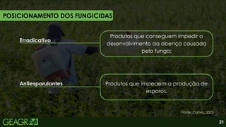 Erradicativo
Antiesporulantes Produtos que impedem a produção de
esporos.
Produtos que conseguem impedir o
desenvolvimento da doença causada
pelo fungo;
Fonte: Canva, 2025.
21
POSICIONAMENTO DOS FUNGICIDAS
 