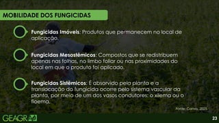 MOBILIDADE DOS FUNGICIDAS
Fonte: Canva, 2025.
23
Fungicidas Imóveis: Produtos que permanecem no local de
aplicação.
Fungicidas Mesostêmicos: Compostos que se redistribuem
apenas nas folhas, no limbo foliar ou nas proximidades do
local em que o produto foi aplicado.
Fungicidas Sistêmicos: É absorvido pela planta e a
translocação do fungicida ocorre pelo sistema vascular da
planta, por meio de um dos vasos condutores: o xilema ou o
floema.
 