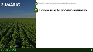 SUMÁRIO
FUNGOS: CONCEITO, MORFOLOGIA E CLASSIFICAÇÃO;
01
CICLO DA RELAÇÃO PATÓGENO-HOSPEDEIRO;
02
3
Fonte: Heitor Jaime, 2025.
 