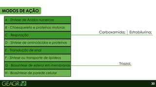 2
A - Síntese de Ácidos nucleicos
B - Citoesqueleto e proteínas motoras
C - Respiração
D - Síntese de aminoácidos e proteínas
E - Transdução de sinal
F - Síntese ou transporte de lipídeos
G - Biossíntese de esterol em membranas
H - Biossíntese de parede celular
Triazol.
Estrobilurina;
Carboxamida;
29
30
MODOS DE AÇÃO
 