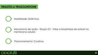 TRIAZÓIS e TRIAZOLINTIONE
Mobilidade: Sistêmico;
Mecanismo de ação - Grupo G1 : Inibe a biossíntese de esterol na
membrana celular;
Posicionamento: Curativo.
31
 