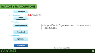 Importância Ergosterol para a membrana
dos fungos.
Fonte: Mais soja, 2025.
TRIAZÓIS e TRIAZOLINTIONE
32
 