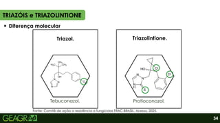 Triazolintione.
Diferença molecular
TRIAZÓIS e TRIAZOLINTIONE
34
Protioconazol.
Triazol.
Tebuconazol.
Fonte: Comitê de ação a resistência a fungicidas FRAC-BRASIL. Acesso, 2025.
 