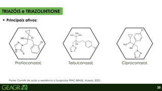 Principais ativos:
Protioconazol; Tebuconazol; Ciproconazol.
TRIAZÓIS e TRIAZOLINTIONE
35
Fonte: Comitê de ação a resistência a fungicidas FRAC-BRASIL. Acesso, 2025.
 