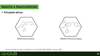 Difenoconazol; Mefentrifluconazol.
TRIAZÓIS e TRIAZOLINTIONE
37
Principais ativos:
Fonte: Comitê de ação a resistência a fungicidas FRAC-BRASIL. Acesso, 2025.
 