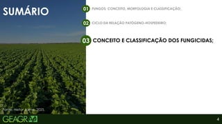 SUMÁRIO
FUNGOS: CONCEITO, MORFOLOGIA E CLASSIFICAÇÃO;
01
CONCEITO E CLASSIFICAÇÃO DOS FUNGICIDAS;
03
CICLO DA RELAÇÃO PATÓGENO-HOSPEDEIRO;
02
4
Fonte: Heitor Jaime, 2025.
 