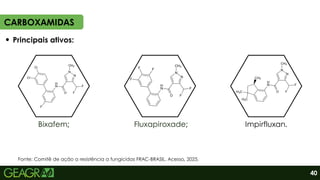 CARBOXAMIDAS
Bixafem; Fluxapiroxade; Impirfluxan.
40
Principais ativos:
Fonte: Comitê de ação a resistência a fungicidas FRAC-BRASIL. Acesso, 2025.
 
