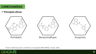 Principais ativos:
CARBOXAMIDAS
Fluindapir; Benzovindiflupir; Fluopiram.
41
Fonte: Comitê de ação a resistência a fungicidas FRAC-BRASIL. Acesso, 2025.
 