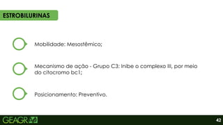 ESTROBILURINAS
Mobilidade: Mesostêmico;
Mecanismo de ação - Grupo C3: Inibe o complexo III, por meio
do citocromo bc1;
Posicionamento: Preventivo.
42
 