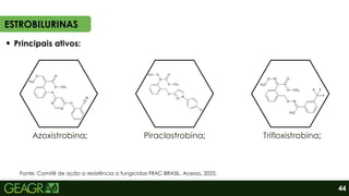 ESTROBILURINAS
Azoxistrobina; Piraclostrobina; Trifloxistrobina;
44
Principais ativos:
Fonte: Comitê de ação a resistência a fungicidas FRAC-BRASIL. Acesso, 2025.
 