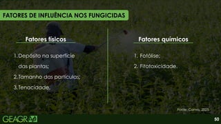 1. Fotólise;
2. Fitotoxicidade.
FATORES DE INFLUÊNCIA NOS FUNGICIDAS
Fatores físicos
1.Depósito na superfície
das plantas;
2.Tamanho das partículas;
3.Tenacidade.
Fatores químicos
50
Fonte: Canva, 2025.
 