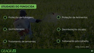 Proteção de folhagem;
UTILIDADES DO FUNGICIDA
Quimioterapia;
Tratamento de sementes;
Proteção de ferimentos;
Desinfestação do solo;
Tratamento pós-colheita.
51
Fonte: Canva, 2025.
 