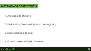2. Desintoxicação ou metabolismo do fungicida;
1. Alteração do sítio alvo;
3. Superexpressão do alvo;
4. Exclusão ou expulsão do sítio alvo.
MECANISMOS DE RESISTÊNCIA
52
 