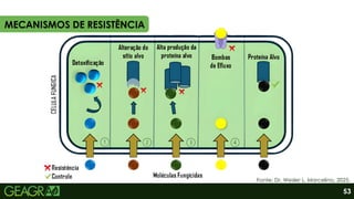 MECANISMOS DE RESISTÊNCIA
Fonte: Dr. Wesler L. Marcelino, 2025.
53
 
