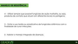 4 - Utilizar sempre que possível fungicida de ação multissítio, ou seja,
produtos de contato que atuam em diferentes locais no patógeno;
5 - Evitar o uso tardio ou erradicativo de fungicidas sistêmicos com a
finalidade de curar infecções;
6 - Adotar o manejo integrado de doenças.
MANEJO DE RESISTÊNCIA
56
 