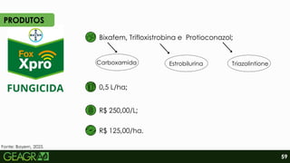 Bixafem, Trifloxistrobina e Protioconazol;
Estrobilurina
R$ 250,00/L;
R$ 125,00/ha.
0,5 L/ha;
Fonte: Bayern, 2025.
Carboxamida
PRODUTOS
Triazolintione
59
 