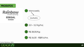 R$ 28,00/Kg;
R$ 56,00 - R$89,6/ha.
2,0 – 3,2 Kg/ha;
Multissítio
Mancozeb;
Fonte: Rainbow, 2025.
PRODUTOS
60
 
