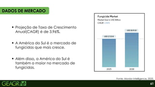 Projeção de Taxa de Crescimento
Anual(CAGR) é de 3.96%.
A América do Sul é o mercado de
fungicidas que mais cresce.
Além disso, a América do Sul é
também o maior no mercado de
fungicidas.
DADOS DE MERCADO
Fonte: Mordor Intelligence, 2025.
61
 