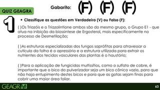 Classifique as questões em Verdadeiro (V) ou Falso (F):
QUIZ GEAGRA
63
( )Os Triazóis e o Triazolintione ambos são do mesmo grupo, o Grupo E1 - que
atua na inibição da biossintese de Ergosterol, mais especificamente no
processo de Desmetilação;
( )As estruturas especializadas dos fungos saprófitas para atravessar a
cutícula da folha é o apressório e a estrutura utilizada para extrair os
nutrientes dos tecidos vasculares das plantas é o haustório;
( )Para a aplicação de fungicidas multissítios, como o sulfato de cobre, é
importante que o bico do pulverizador seja um bico cônico vazio, para que
não haja entupimento destes bicos e para que as gotas sejam finas para
cobrir uma maior área foliar.
Gabarito:
 
