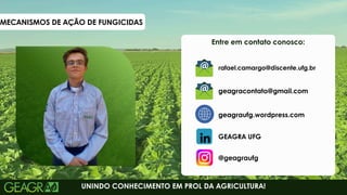4
Entre em contato conosco:
UNINDO CONHECIMENTO EM PROL DA AGRICULTURA!
geagraufg.wordpress.com
geagracontato@gmail.com
GEAGRA UFG
@geagraufg
rafael.camargo@discente.ufg.br
MECANISMOS DE AÇÃO DE FUNGICIDAS
 