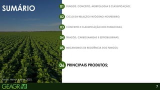 SUMÁRIO
FUNGOS: CONCEITO, MORFOLOGIA E CLASSIFICAÇÃO;
01
CICLO DA RELAÇÃO PATÓGENO-HOSPEDEIRO;
02
CONCEITO E CLASSIFICAÇÃO DOS FUNGICIDAS;
03
TRIAZÓIS, CARBOXAMIDAS E ESTROBILURINAS;
04
MECANISMOS DE RESISTÊNCIA DOS FUNGOS;
05
PRINCIPAIS PRODUTOS;
06
7
Fonte: Heitor Jaime, 2025.
 