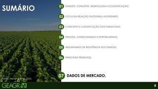 SUMÁRIO
FUNGOS: CONCEITO, MORFOLOGIA E CLASSIFICAÇÃO;
01
CICLO DA RELAÇÃO PATÓGENO-HOSPEDEIRO;
02
CONCEITO E CLASSIFICAÇÃO DOS FUNGICIDAS;
03
TRIAZÓIS, CARBOXAMIDAS E ESTROBILURINAS;
04
MECANISMOS DE RESISTÊNCIA DOS FUNGOS;
05
PRINCIPAIS PRODUTOS;
06
DADOS DE MERCADO.
07
8
Fonte: Heitor Jaime, 2025.
 