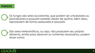 FUNGOS
Os fungos são seres eucariontes, que podem ser unicelulares ou
pluricelulares e possuem parede celular de quitina. Além disso,
reproduzem de forma assexuada e sexuada.
São seres heterotróficos, ou seja, não produzem seu próprio
alimento, então para absorver os nutrientes necessários, podem
atuar como:
9
 