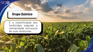 9
Grupo Químico
É a classificação dos
herbicidas segundo a
similaridade estrutural
de suas moléculas.
 