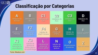 20
Classificação por Categorias
Fonte: Weedout.com
 