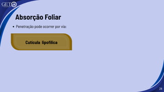 28
Absorção Foliar
Penetração pode ocorrer por via:
Cutícula lipofílica
 