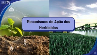 Mecanismos de Ação dos
Herbicidas
35
 