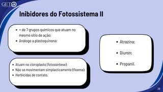 38
Inibidores do Fotossistema II
+ de 7 grupos químicos que atuam no
mesmo sítio de ação;
Análogo a plastoquinona;
Atuam no cloroplasto (fotossíntese);
Não se movimentam simplasticamente (floema);
Herbicidas de contato.
Atrazina;
Diuron;
Propanil.
 
