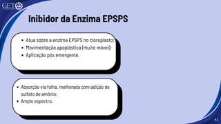 41
Inibidor da Enzima EPSPS
Atua sobre a enzima EPSPS no cloroplasto;
Movimentação apoplástica (muito móvel);
Aplicação pós emergente.
Absorção via folha, melhorada com adição de
sulfato de amônio;
Amplo espectro.
 