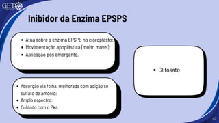 42
Inibidor da Enzima EPSPS
Atua sobre a enzima EPSPS no cloroplasto;
Movimentação apoplástica (muito móvel);
Aplicação pós emergente.
Absorção via folha, melhorada com adição se
sulfato de amônio;
Amplo espectro;
Cuidado com o Pka.
Glifosato
 