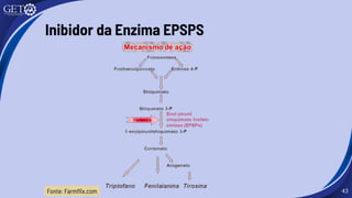 43
Inibidor da Enzima EPSPS
Fonte: Farmflix.com
 