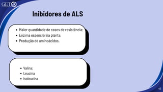 45
Maior quantidade de casos de resistência;
Enzima essencial na planta;
Produção de aminoácidos.
Valina;
Leucina
Isoleucina
Inibidores de ALS
 