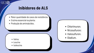 46
Maior quantidade de casos de resistência;
Enzima essencial na planta;
Produção de aminoácidos.
Valina;
Leucina
Isoleucina
Inibidores de ALS
Chlorimuron;
Nicosulfuron;
Halosulfuron.
Gladium.
 