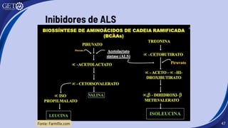 47
Inibidores de ALS
Fonte: Farmflix.com
 