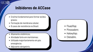 50
Inibidores de ACCase
Enzima fundamental para formar ácidos
graxos;
Formação de membrana celular;
8 casos de resistência no Brasil. Fluazifop;
Pinoxadem;
Haloxyfop;
Cletodim.
Altamente sistêmicos;
Atividade forte em meristemas;
Utilizado majoritariamente em pós
emergência;
Adjuvante obrigatório.
 