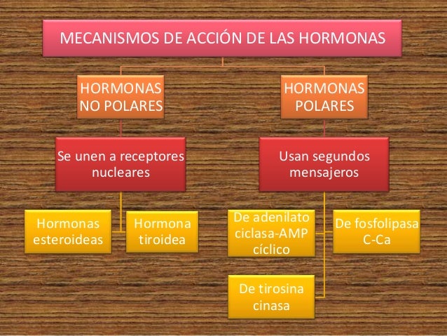 Mecanismos de acción de las hormonas