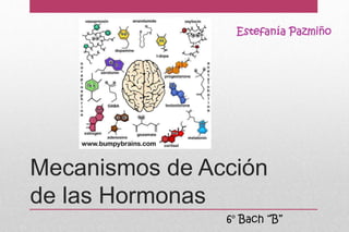 Mecanismos de Acción
de las Hormonas
Estefanía Pazmiño
6° Bach “B”
 